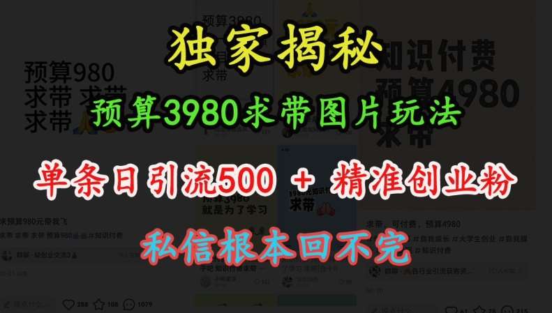 预算3980求带 图片玩法，单条日引流500+精准创业粉，私信根本回不完汇创网-网创项目_汇创网_中创网_福缘网_冒泡网_资源整合平台汇创网