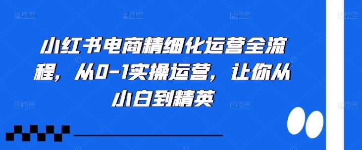小红书电商精细化运营全流程，从0-1实操运营，让你从小白到精英汇创网-网创项目_汇创网_中创网_福缘网_冒泡网_资源整合平台汇创网