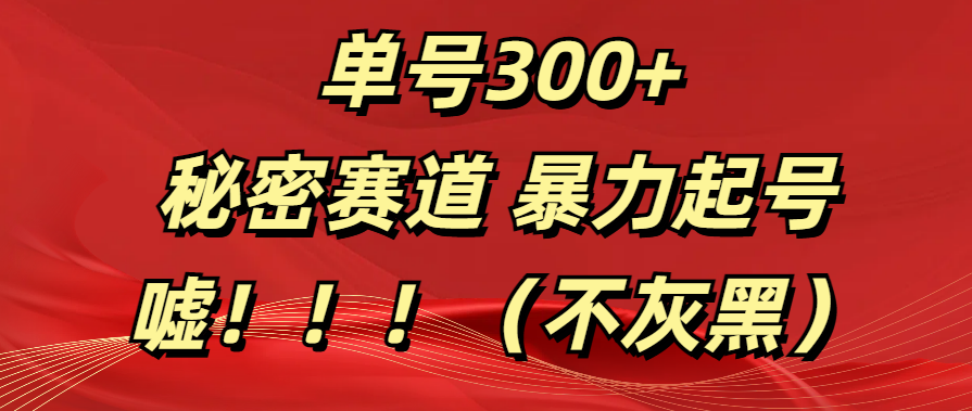 单号300+  秘密赛道 暴力起号  （不灰黑）汇创网-网创项目_汇创网_中创网_福缘网_冒泡网_资源整合平台汇创网