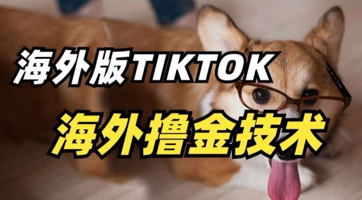 抖音海外版tiktok撸金技术，这个风口行业，赚钱真的不难【揭秘】汇创网-网创项目_汇创网_中创网_福缘网_冒泡网_资源整合平台汇创网