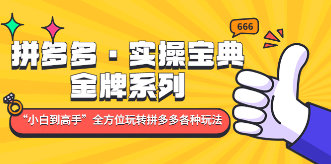 拼多多·实操宝典：金牌系列“小白到高手”带你全方位玩转拼多多各种玩法汇创网-网创项目_汇创网_中创网_福缘网_冒泡网_资源整合平台汇创网