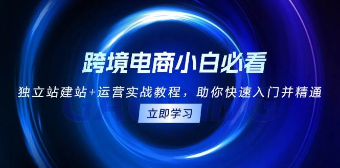 （13503期）跨境电商小白必看！独立站建站+运营实战教程，助你快速入门并精通汇创网-网创项目_汇创网_中创网_福缘网_冒泡网_网创项目平台汇创网