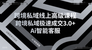 跨境私域线上高级课程，跨境私域极速成交3.0+Ai智能客服汇创网-网创项目_汇创网_中创网_福缘网_冒泡网_网创项目平台汇创网