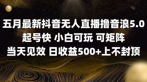 2025五月最新无人直播撸音浪单日产出5张+实操教程【揭秘】汇创网-网创项目_汇创网_中创网_福缘网_冒泡网_资源整合平台汇创网