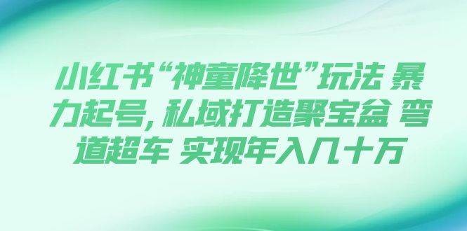 （7673期）小红书“神童降世”玩法 暴力起号,私域打造聚宝盆 弯道超车 实现年入几十万汇创网-网创项目_汇创网_中创网_福缘网_冒泡网_资源整合平台汇创网