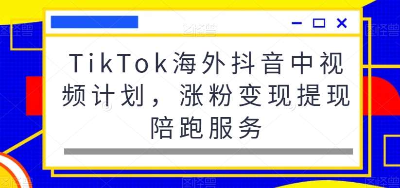 TikTok海外抖音中视频计划，涨粉变现提现陪跑服务汇创网-网创项目_汇创网_中创网_福缘网_冒泡网_资源整合平台汇创网