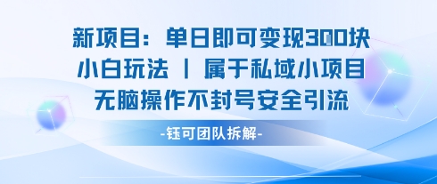 新项目单日即可变现3张的小白玩法无脑操作不封号安全引流汇创网-网创项目_汇创网_中创网_福缘网_冒泡网_网创项目平台汇创网