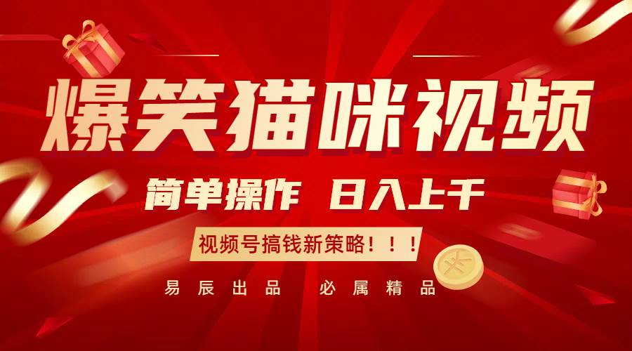 爆笑猫咪视频：简单操作，日入过千，视频号搞钱新策略！汇创网-网创项目_汇创网_中创网_福缘网_冒泡网_资源整合平台汇创网