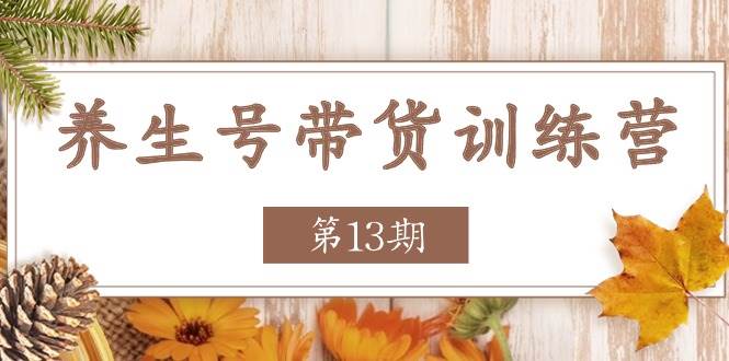 养生号带货训练营【第13期】收益更稳定的玩法，让你带货收益爆炸汇创网-网创项目_汇创网_中创网_福缘网_冒泡网_资源整合平台汇创网