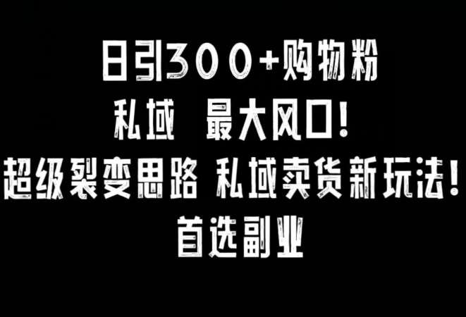 日引300+购物粉，超级裂变思路，私域卖货新玩法，小红书首选副业【揭秘】汇创网-网创项目_汇创网_中创网_福缘网_冒泡网_资源整合平台汇创网
