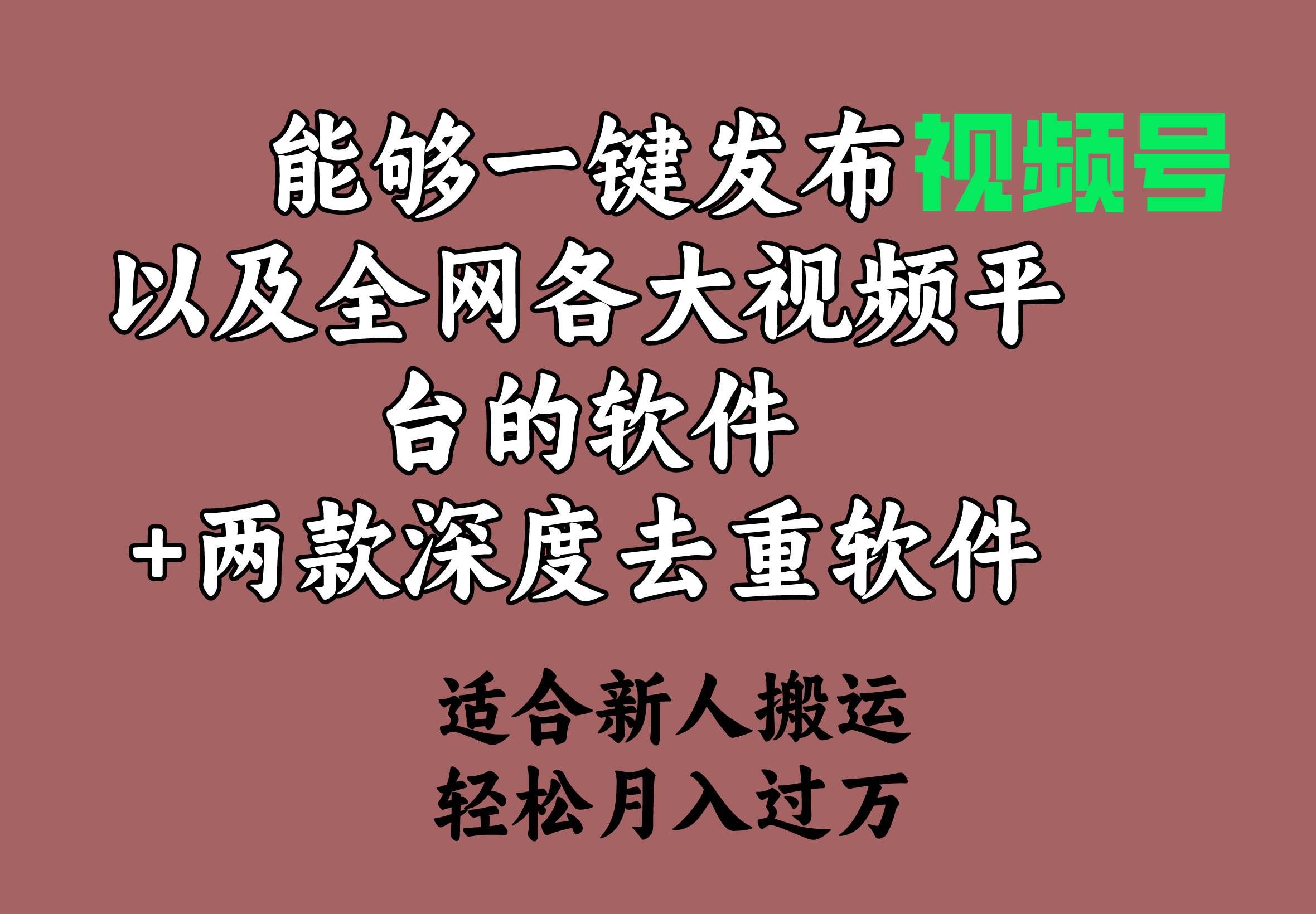 （9319期）能够一键发布视频号以及全网各大视频平台的软件+两款深度去重软件 适合…汇创网-网创项目_汇创网_中创网_福缘网_冒泡网_资源整合平台汇创网