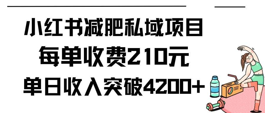 （9466期）小红书减肥私域项目每单收费210元单日成交20单，最高日入4200+汇创网-网创项目_汇创网_中创网_福缘网_冒泡网_资源整合平台汇创网