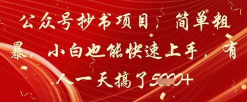 公众号抄书项目，简单粗暴，小白也能快速上手，有人一天搞了1k+汇创网-网创项目_汇创网_中创网_福缘网_冒泡网_网创项目平台汇创网