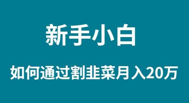 （9308期）新手小白如何通过割韭菜月入 20W汇创网-网创项目_汇创网_中创网_福缘网_冒泡网_网创项目平台汇创网
