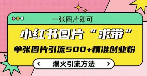 小红书图片‘求带’爆火引流法，单张图片引流500+精准创业粉【揭秘】汇创网-网创项目_汇创网_中创网_福缘网_冒泡网_资源整合平台汇创网