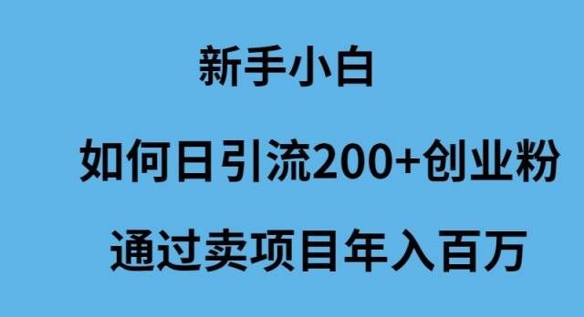 （9668期）新手小白如何日引流200+创业粉通过卖项目年入百万汇创网-网创项目_汇创网_中创网_福缘网_冒泡网_资源整合平台汇创网
