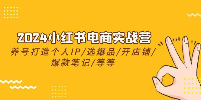 （10376期）2024小红书电商实战营，养号打造IP/选爆品/开店铺/爆款笔记/等等（24节）汇创网-网创项目_汇创网_中创网_福缘网_冒泡网_资源整合平台汇创网