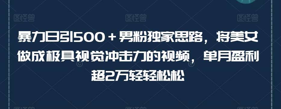 暴力日引500＋男粉独家思路，将美女做成极具视觉冲击力的视频，单月盈利超2万轻轻松松汇创网-网创项目_汇创网_中创网_福缘网_冒泡网_资源整合平台汇创网