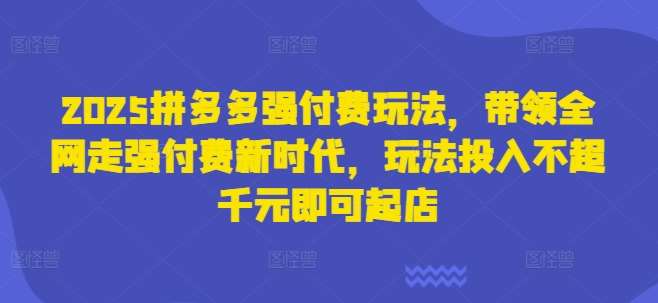 2025拼多多强付费玩法，带领全网走强付费新时代，玩法投入不超千元即可起店汇创网-网创项目_汇创网_中创网_福缘网_冒泡网_资源整合平台汇创网