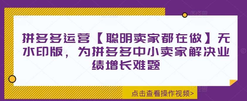 拼多多运营【聪明卖家都在做】无水印版，为拼多多中小卖家解决业绩增长难题汇创网-网创项目_汇创网_中创网_福缘网_冒泡网_资源整合平台汇创网
