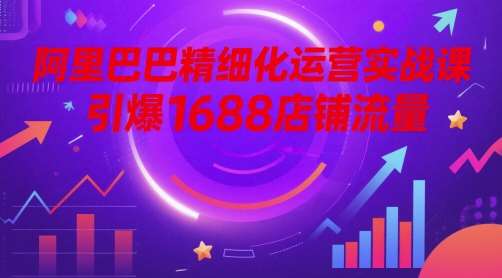 阿里巴巴精细化运营实战课，引爆1688店铺流量汇创网-网创项目_汇创网_中创网_福缘网_冒泡网_资源整合平台汇创网