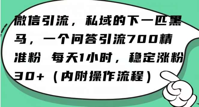 怎么搞精准创业粉？微信新赛道，每天一小时，利用Ai一个问答日引100精准粉汇创网-网创项目_汇创网_中创网_福缘网_冒泡网_资源整合平台汇创网
