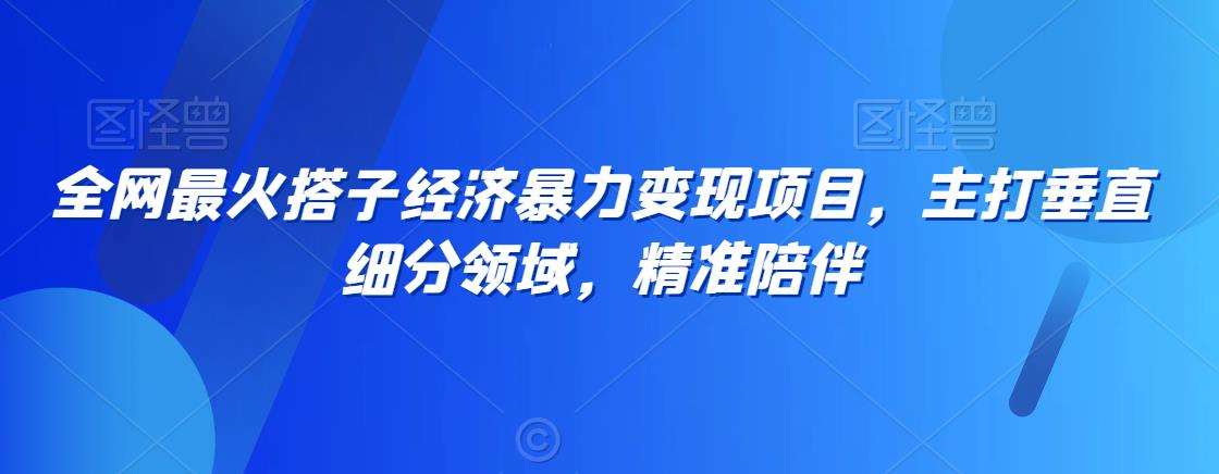 全网最火搭子经济暴力变现项目，主打垂直细分领域，精准陪伴【揭秘】汇创网-网创项目_汇创网_中创网_福缘网_冒泡网_网创项目平台汇创网