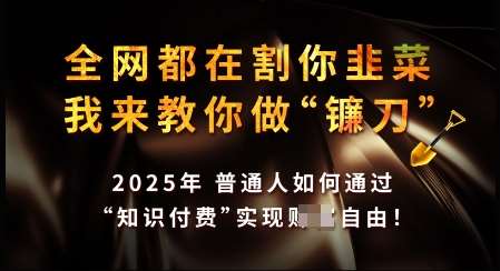 知识付费如何做到月入过W+，2025我来教你做“镰刀”【揭秘】汇创网-网创项目_汇创网_中创网_福缘网_冒泡网_网创项目平台汇创网