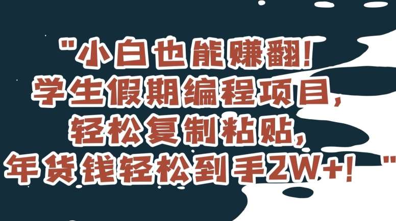 小白也能赚翻！学生假期编程项目，轻松复制粘贴，年货钱轻松到手2W+【揭秘】汇创网-网创项目_汇创网_中创网_福缘网_冒泡网_资源整合平台汇创网