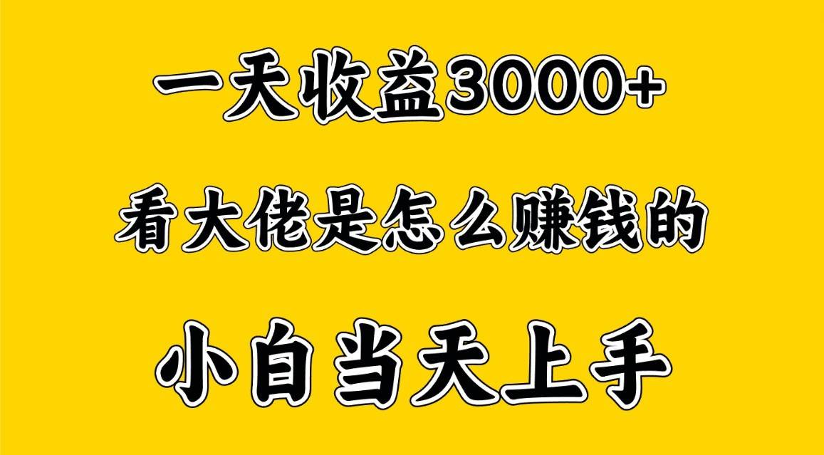 一天赚3000多，大佬是这样赚到钱的，小白当天上手，穷人翻身项目汇创网-网创项目_汇创网_中创网_福缘网_冒泡网_资源整合平台汇创网