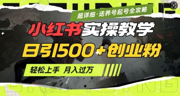 2月小红书最新日引500+创业粉实操教学【超详细】小白轻松上手，月入1W+，附小红书养号起号SOP汇创网-网创项目_汇创网_中创网_福缘网_冒泡网_资源整合平台汇创网