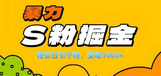 单人单机日引千粉，变现1k+，S粉流量掘金计划攻略【揭秘】汇创网-网创项目_汇创网_中创网_福缘网_冒泡网_资源整合平台汇创网