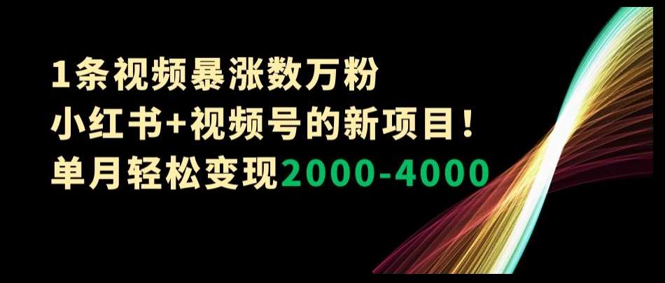 1条视频暴涨数万粉–小红书+视频号的新项目！单月轻松变现2000-4000【揭秘】汇创网-网创项目_汇创网_中创网_福缘网_冒泡网_资源整合平台汇创网