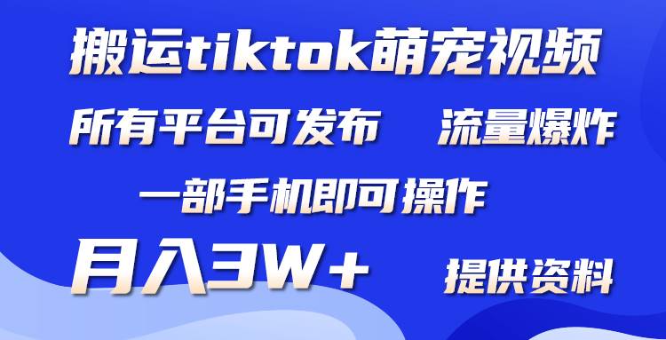 （9618期）搬运Tiktok萌宠类视频，一部手机即可。所有短视频平台均可操作，月入3W+汇创网-网创项目_汇创网_中创网_福缘网_冒泡网_资源整合平台汇创网