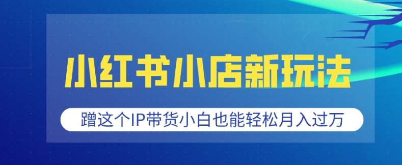 小红书小店新玩法，蹭这个IP带货，小白也能轻松月入过W【揭秘】汇创网-网创项目_汇创网_中创网_福缘网_冒泡网_网创项目平台汇创网