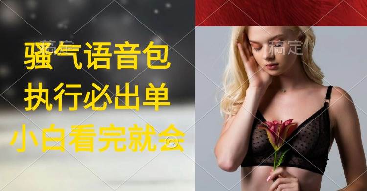（9589期）执行就出单，日入2000+，超火骚气语音包，小白看完课程就能马上实操汇创网-网创项目_汇创网_中创网_福缘网_冒泡网_资源整合平台汇创网