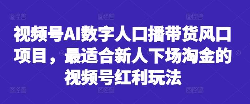 视频号AI数字人口播带货风口项目，最适合新人下场淘金的视频号红利玩法汇创网-网创项目_汇创网_中创网_福缘网_冒泡网_网创项目平台汇创网