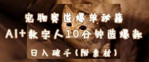 宠物赛道爆单秘籍：AI+数字人10分钟造爆款，日入1k汇创网-网创项目_汇创网_中创网_福缘网_冒泡网_资源整合平台汇创网