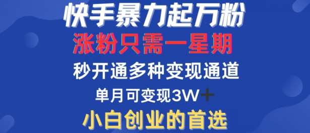 快手暴力起万粉，涨粉只需一星期，多种变现模式，直接秒开万合，单月变现过W【揭秘】汇创网-网创项目_汇创网_中创网_福缘网_冒泡网_资源整合平台汇创网