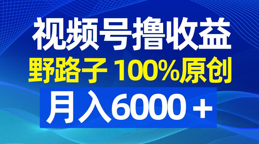 （8679期）视频号野路子撸收益，100%原创，条条爆款，月入6000＋汇创网-网创项目_汇创网_中创网_福缘网_冒泡网_资源整合平台汇创网