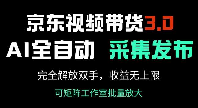 京东视频带货3.0，Ai全自动采集+自动发布，完全解放双手，收入无上限汇创网-网创项目_汇创网_中创网_福缘网_冒泡网_资源整合平台汇创网