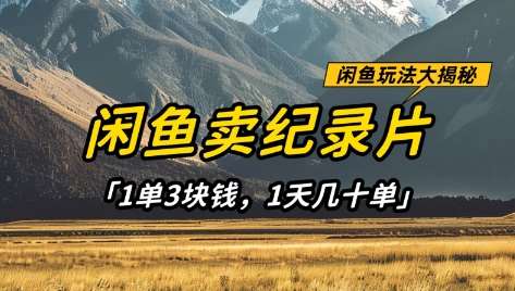 闲鱼卖纪录片1单3块钱，1天几十单，项目稳定有潜力汇创网-网创项目_汇创网_中创网_福缘网_冒泡网_资源整合平台汇创网
