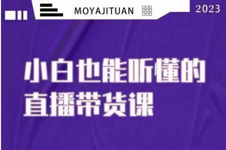 大威本威·能听懂的直播带货课，小白也能听懂，20节完整网创项目_汇创网_中创网_福缘网_冒泡网_资源整合平台汇创网