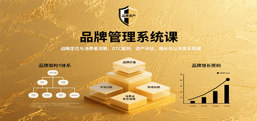 品牌管理系统课：战略定位与消费者洞察，DTC案例、资产评估，增长与公关体系搭建汇创网-网创项目_汇创网_中创网_福缘网_冒泡网_网创项目平台汇创网
