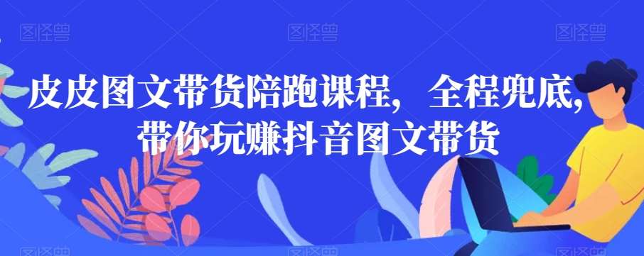 皮皮图文带货陪跑课程，全程兜底，带你玩赚抖音图文带货汇创网-网创项目_汇创网_中创网_福缘网_冒泡网_资源整合平台汇创网