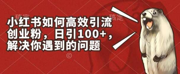 小红书如何高效引流创业粉，日引100+，解决你遇到的问题【揭秘】汇创网-网创项目_汇创网_中创网_福缘网_冒泡网_资源整合平台汇创网
