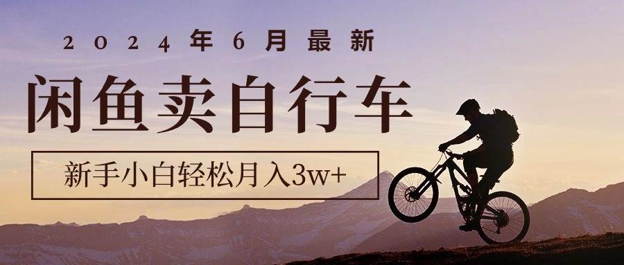 （10915期）2024年6月最新闲鱼卖自行车，新手小白轻松月入3w+项目网创项目_汇创网_中创网_福缘网_冒泡网_资源整合平台汇创网