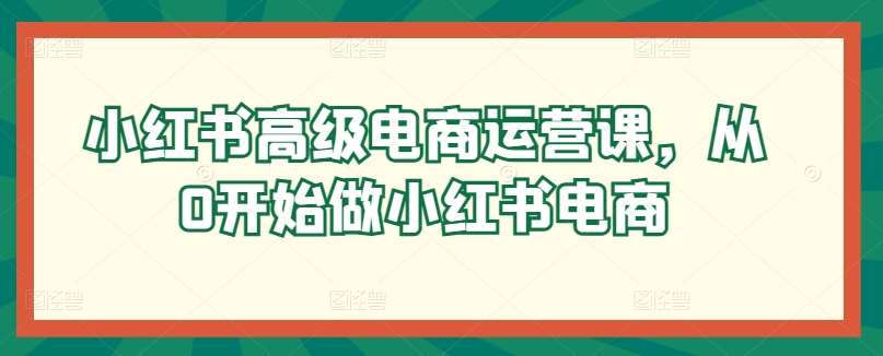 小红书高级电商运营课，从0开始做小红书电商汇创网-网创项目_汇创网_中创网_福缘网_冒泡网_网创项目平台汇创网