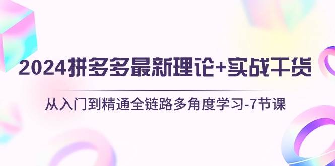（10816期）2024拼多多 最新理论+实战干货，从入门到精通全链路多角度学习-7节课汇创网-网创项目_汇创网_中创网_福缘网_冒泡网_资源整合平台汇创网
