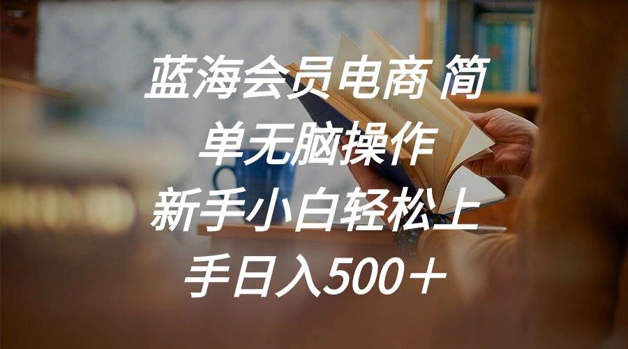 （11068期）蓝海会员电商 简单无脑操作 新手小白轻松上手日入500＋汇创网-网创项目_汇创网_中创网_福缘网_冒泡网_资源整合平台汇创网